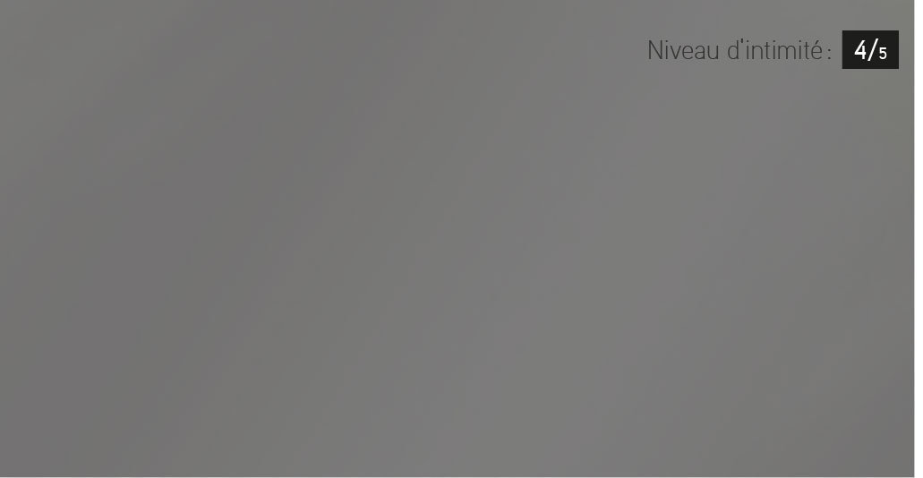 Le verre Sablé gris Garaga et Novatech ajoute une touche pratique à vos fenêtres de porte de garage et d'entrée