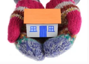 Maison En Carton